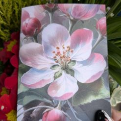 Apple Blossom Greetings Card