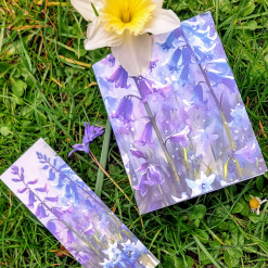 Bluebell wood bundle