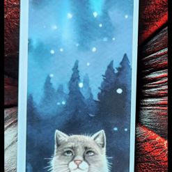 Chubs the grey cat bookmark
