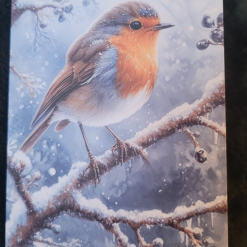 Winter Robin Greetings Card