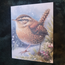 Wren Greetings Card