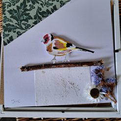 Hand-painted Bird White Framed Picture 1 Hand-painted Bird White Framed Picture 3