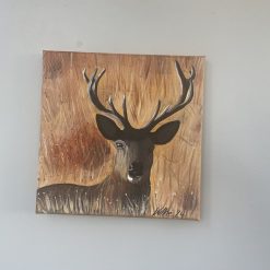 Stag