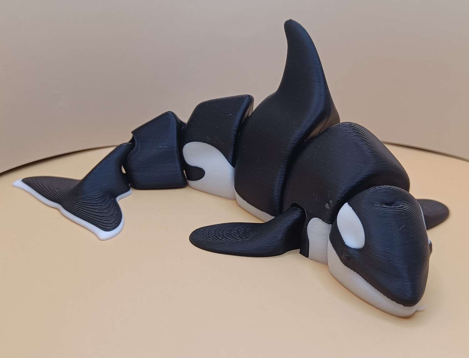 Articulated Orca Articulated Orca