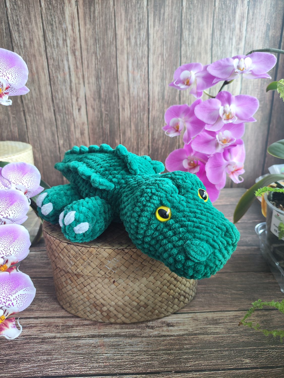 Crocodile Crocodile