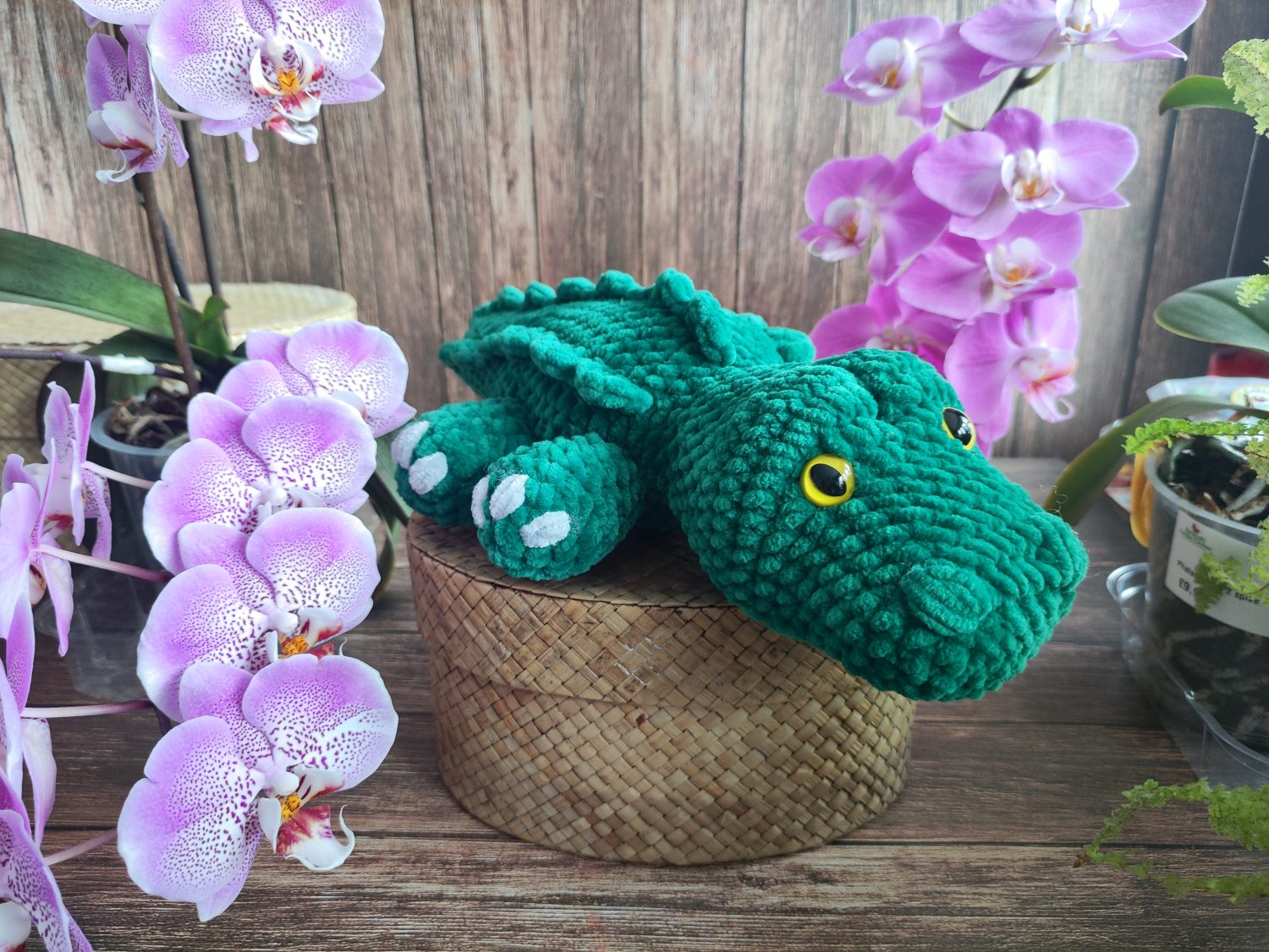 Crocodile Crocodile