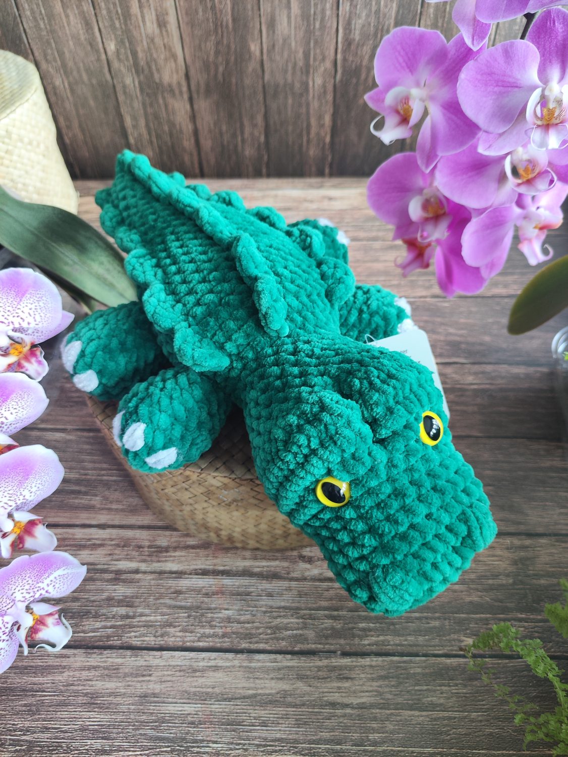Crocodile Crocodile