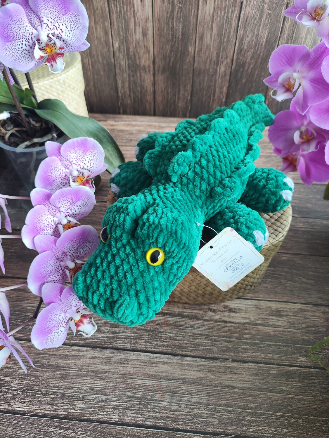 Crocodile Crocodile
