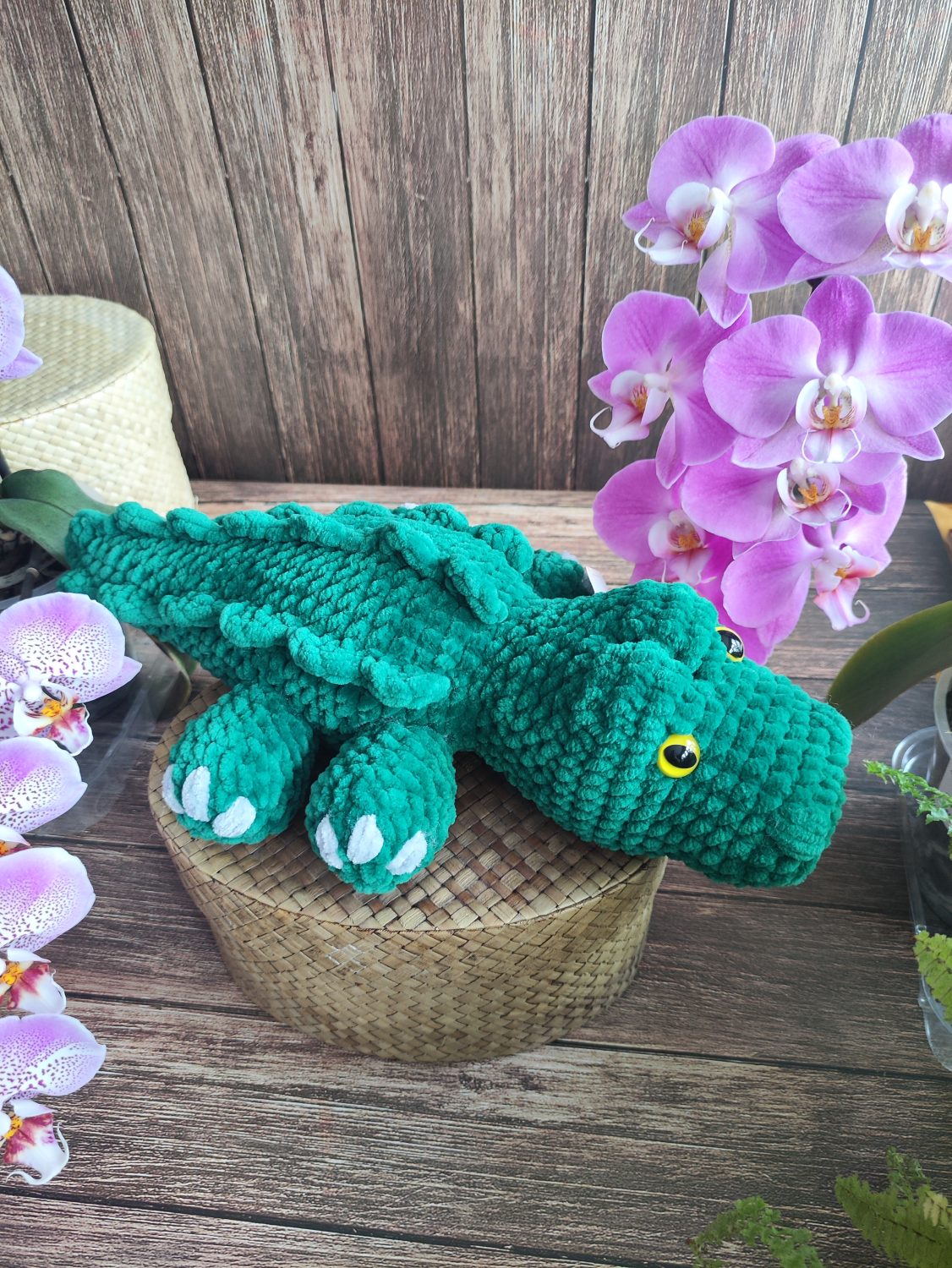 Crocodile Crocodile