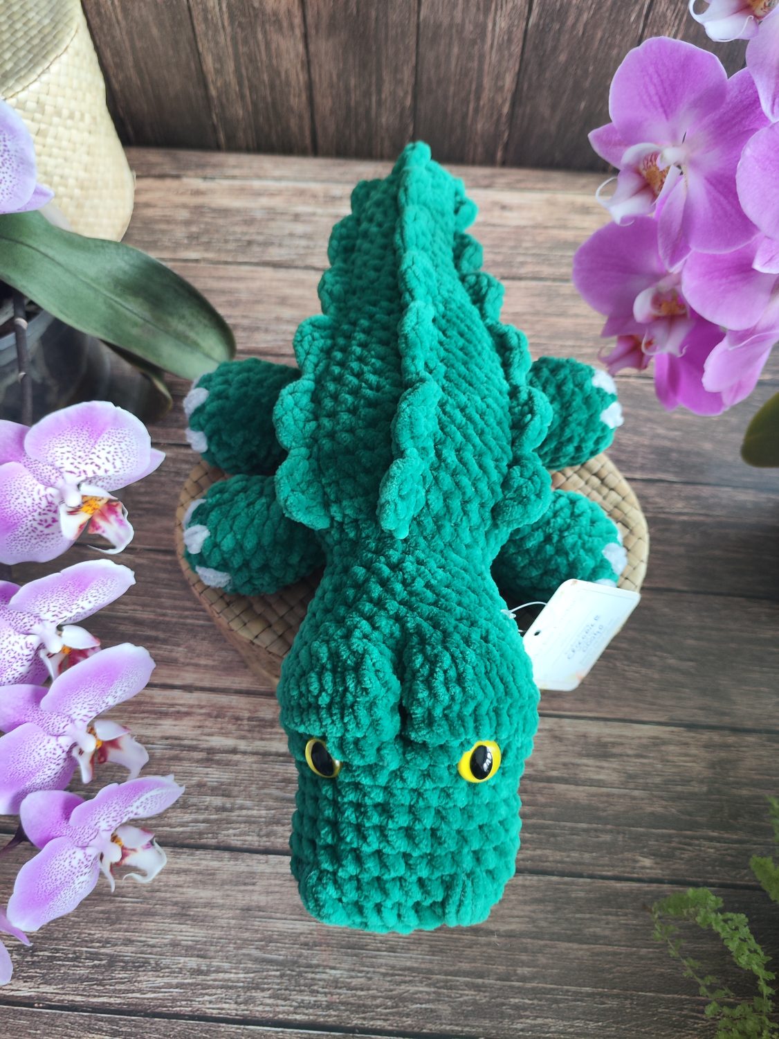 Crocodile Crocodile