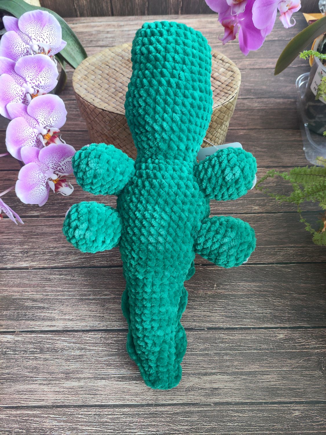 Crocodile Crocodile