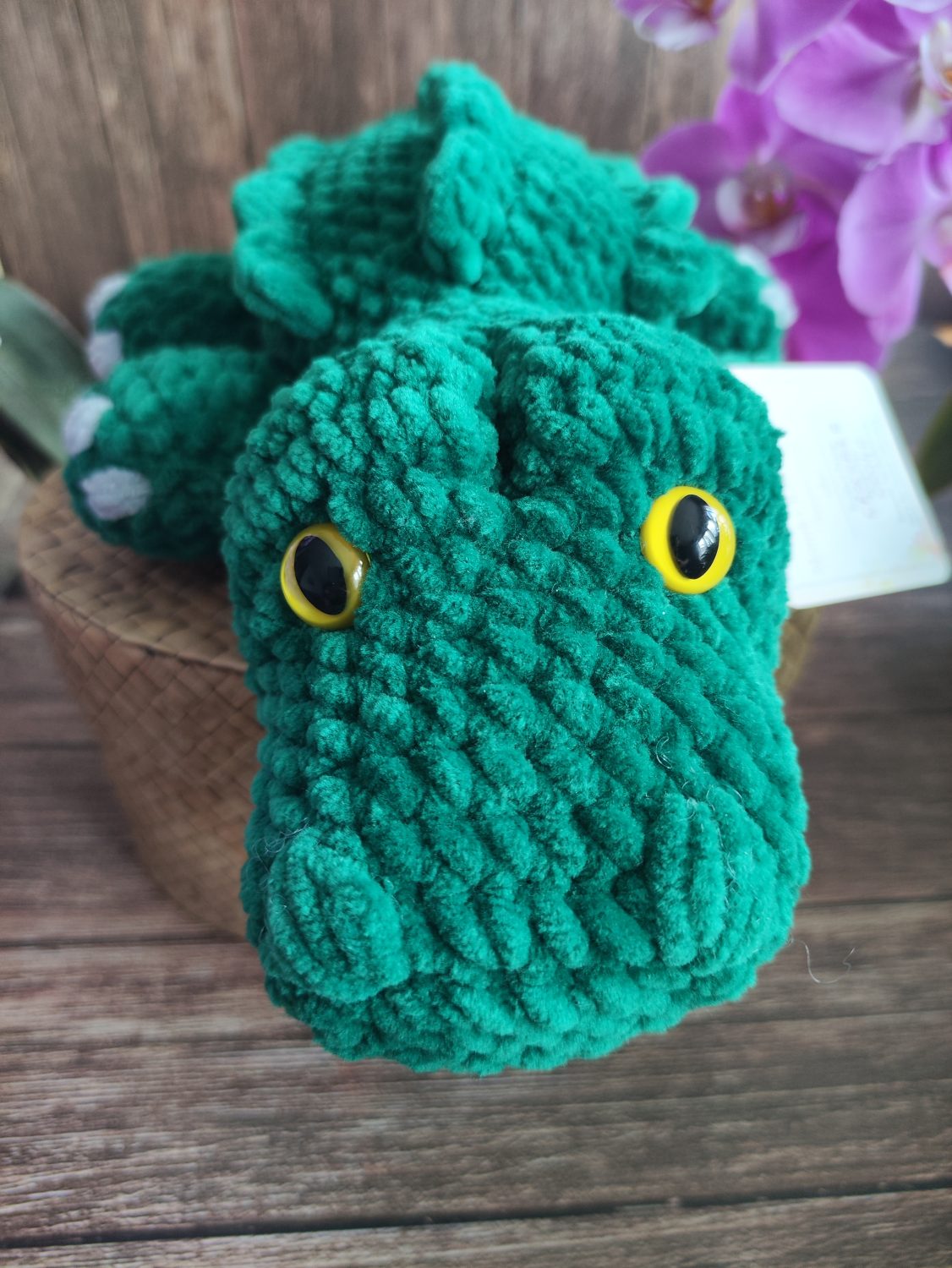 Crocodile Crocodile
