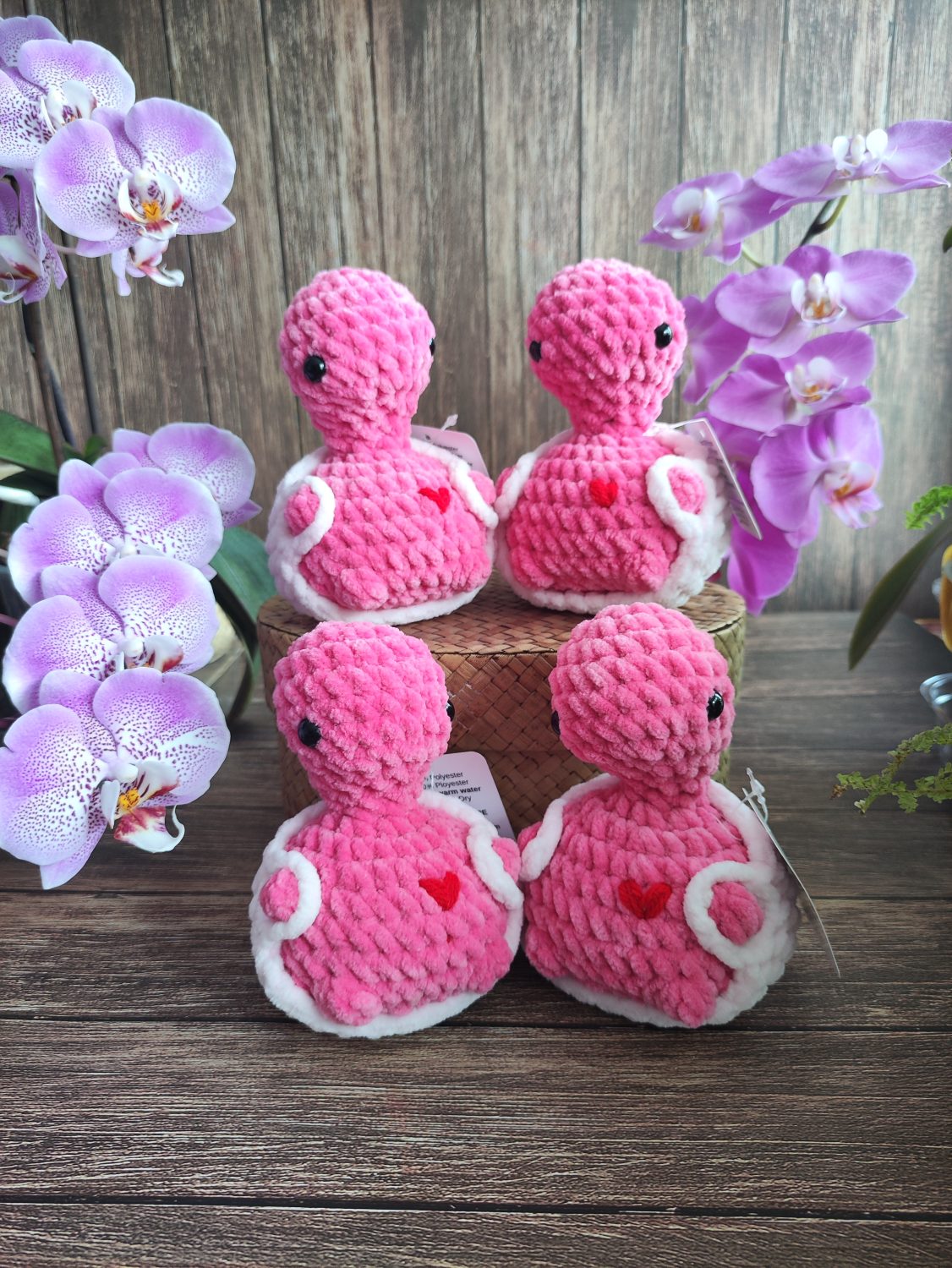 Cheeky Turtle Valentine Edition Cheeky Turtle Valentine Edition