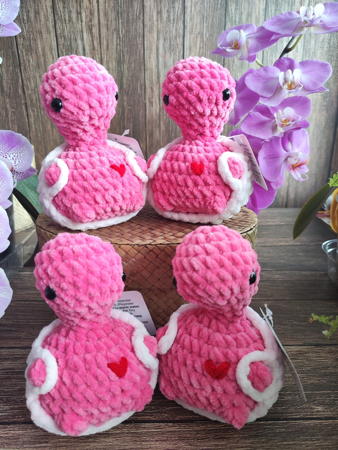 Cheeky Turtle Valentine Edition Cheeky Turtle Valentine Edition