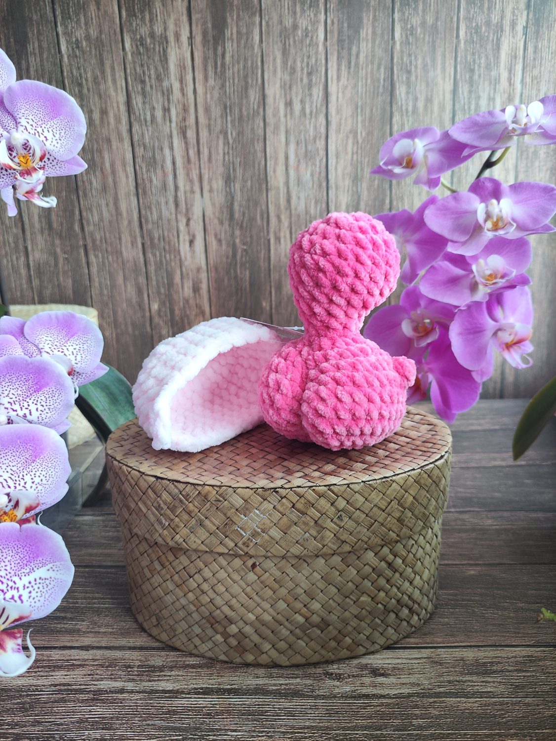 Cheeky Turtle Valentine Edition Cheeky Turtle Valentine Edition