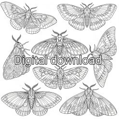Moths colouring page digital delivery