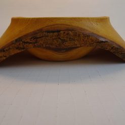 Winged Bowl 2