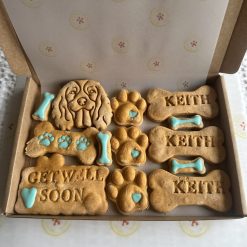 Collect. Get Well Soon Boy/Girl Dog Biscuit Gift Box. Large