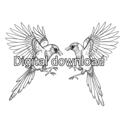 Magpies Colouring Page digital download