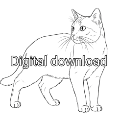 Cat colouring page digital delivery
