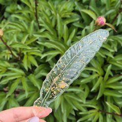 Handmade Resin Feather Bookmark Made to Order