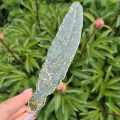 Handmade Resin Feather Bookmark Made to Order 3 Handmade Resin Feather Bookmark Made to Order 3