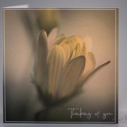 Morning Glow Thinking of You photo Greeting card