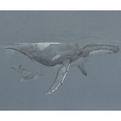 Fine Art Print - A3 Limited Edition Polar Bear Reflection