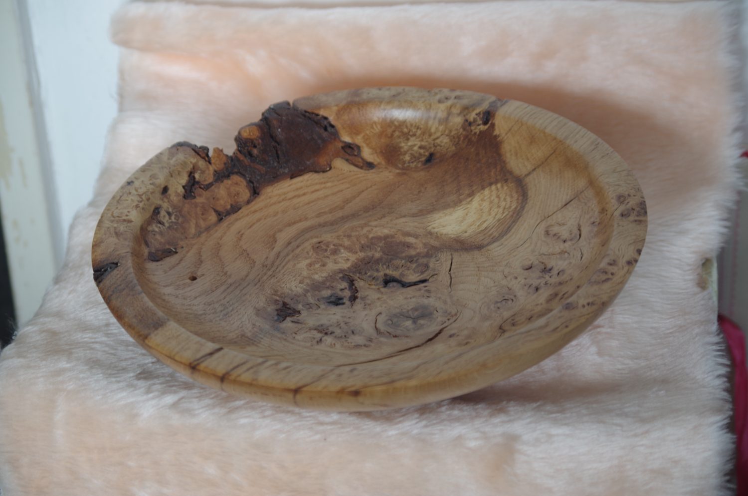 oak burr oak burr