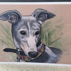 Greeting Card - Greyhound
