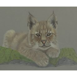 Fine Art Print - A3 Limited Edition Polar Bear Reflection