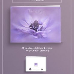 Purple Anemone Flower Thinking of you Greeting Card – 5x7 Photo Blank inside Card – Nature Photography – Floral Art