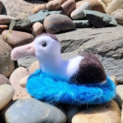 Antipodean Albatross