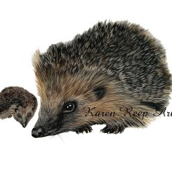 ‘Sophie Hedgehog , A3 print signed by Artist Karen Reep