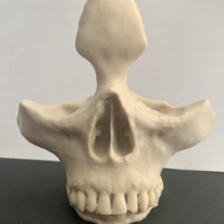 Skull Glasses Sunglasses Holder Stand 3D Printed Bone Effect Men Gifts Man Cave 1