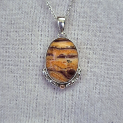PENDANT ONLY - Lion's Paw Shell Sterling Silver Pendant
