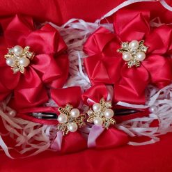 Set of bows and hair clips!