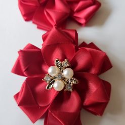 Set of bows and hair clips! 5 Set of bows and hair clips! 5