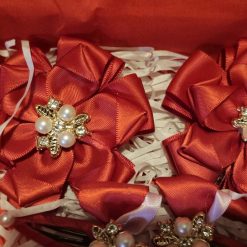 Set of bows and hair clips! 3 Set of bows and hair clips! 3