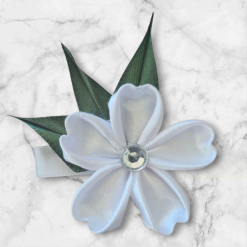 Hair clips  for small girls ( 2 clips)