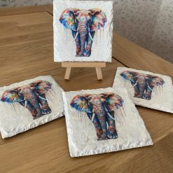 Colourful Elephant Coaster