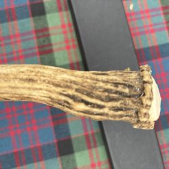 Handcrafted Stag Antler Sgian Dubh 6 Handcrafted Stag Antler Sgian Dubh 6