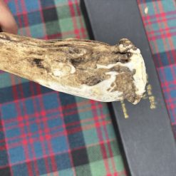 Handcrafted Stag Antler Sgian Dubh 7 Handcrafted Stag Antler Sgian Dubh 7