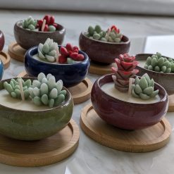 Individual Scented Soy Wax Succulent Candle (small)