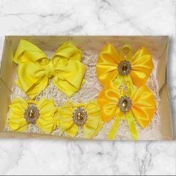 Gift box with hair clip and hairbows" Sunshine in every strand" ( 5 in 1)
