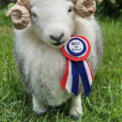 Best in Show Herdwick