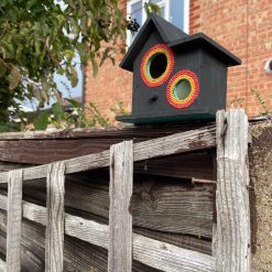 Almost reggae Birdy Box