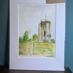 Knepp Castle Ruins