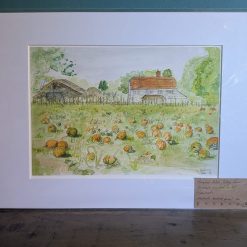Pumpkin Patch