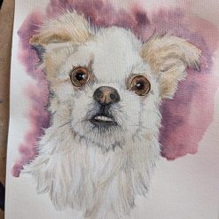 Pet Portraits A4 8 Pet Portraits A4 8